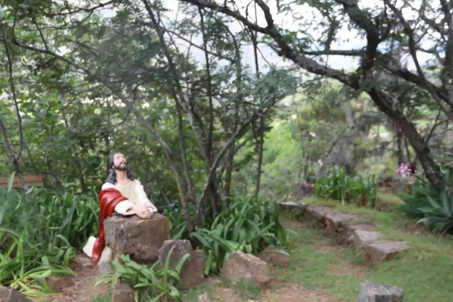 Imagen Cuesta De La Via Crucis De Las Pampas - Imagen 6