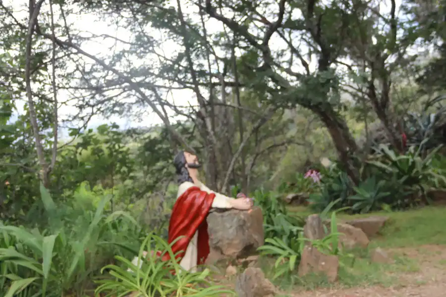 Imagen Cuesta De La Via Crucis De Las Pampas - Imagen 9