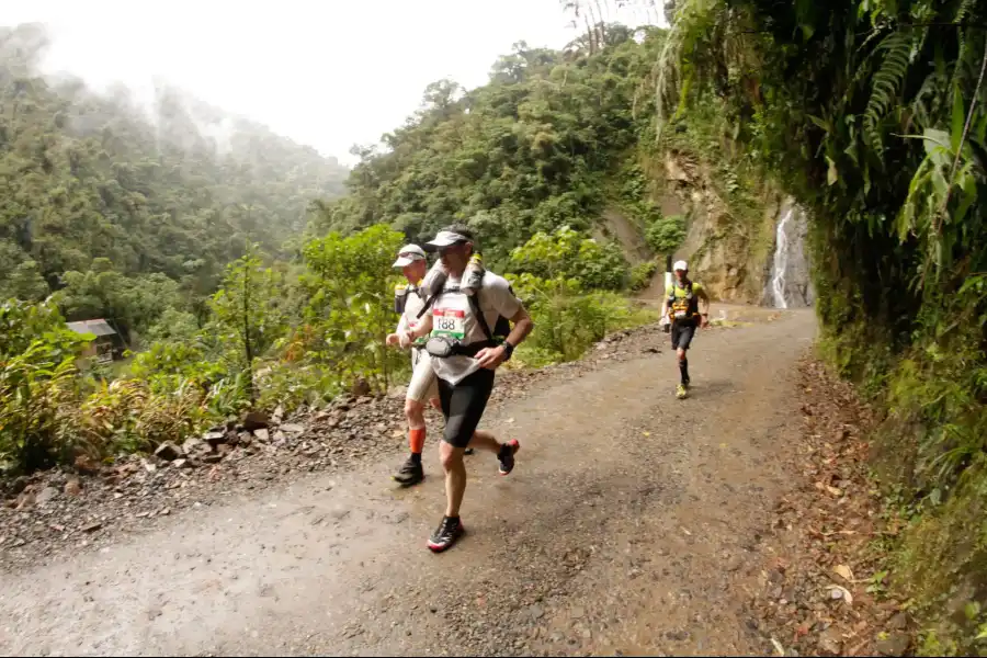 Imagen Ultra Maraton - Jungle Ultra - Imagen 3