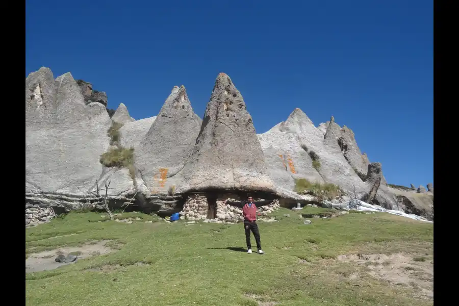 Imagen Bosque De Pampachiri - Sector De Huaccoto - Imagen 1