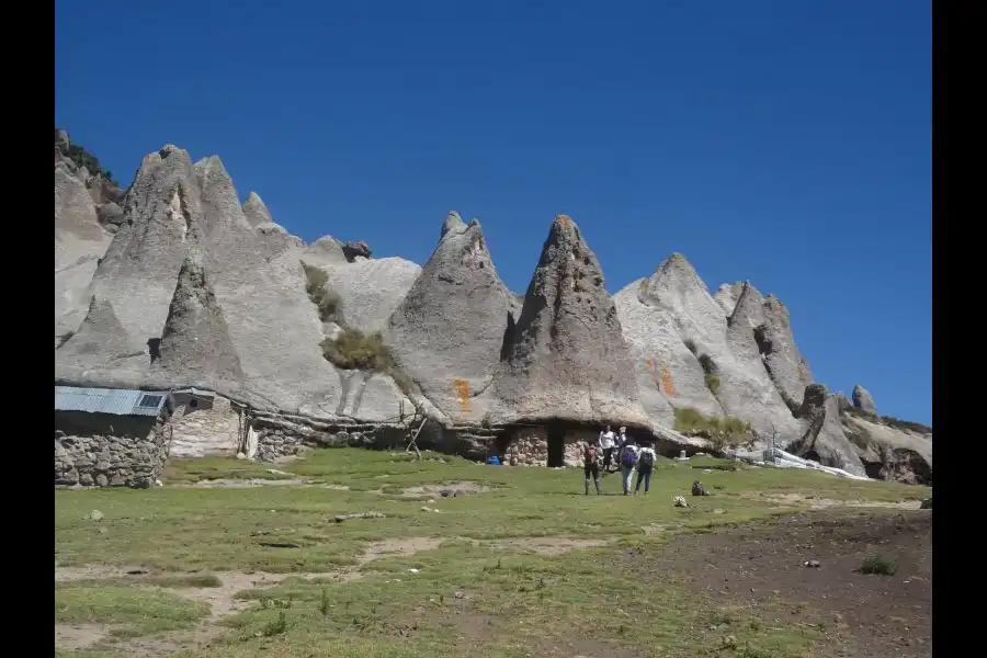 Imagen Bosque De Pampachiri - Sector De Huaccoto - Imagen 3