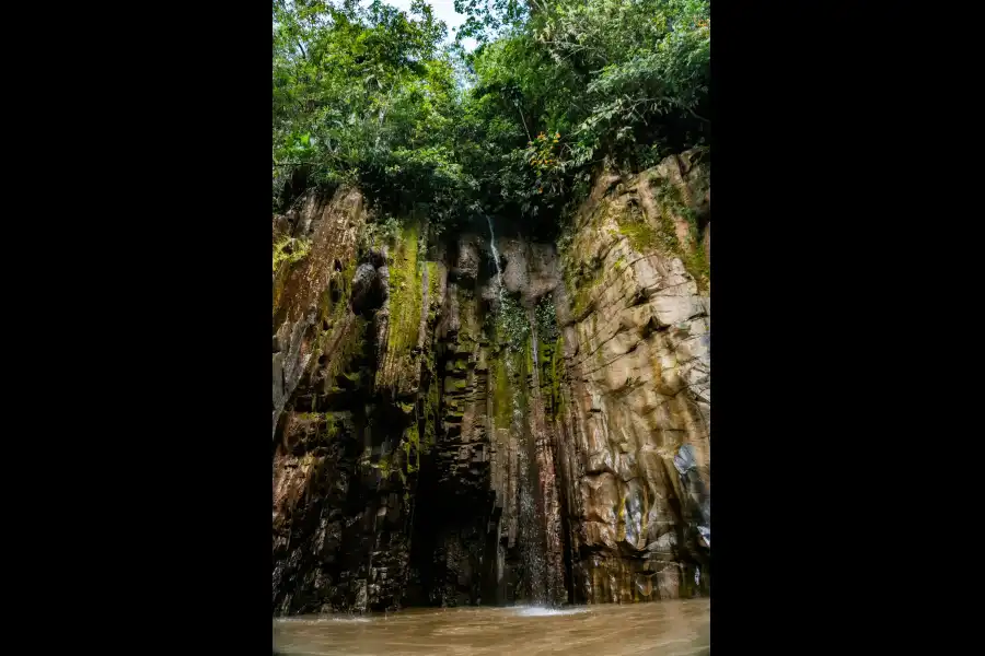 Imagen Santuario Nacional Megantoni - Imagen 12