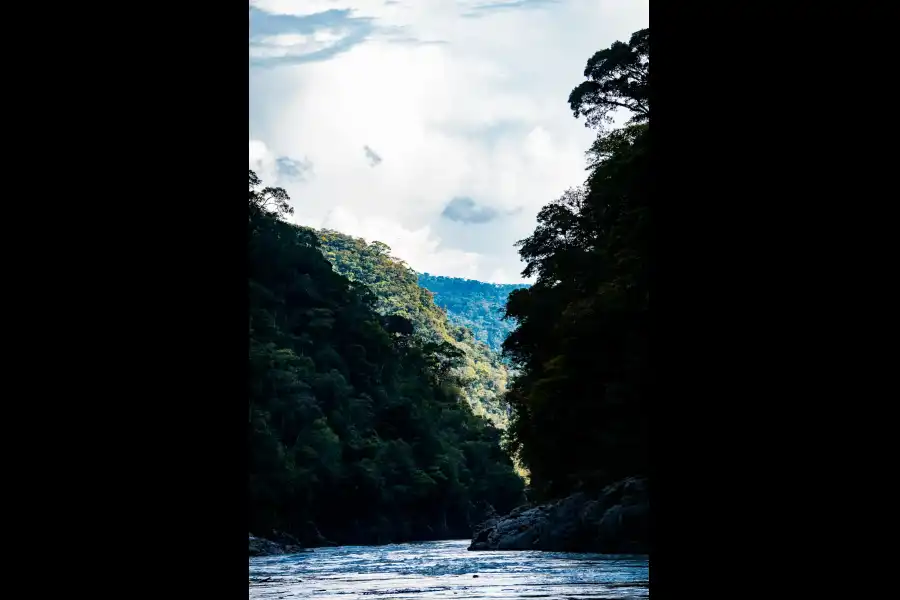 Imagen Santuario Nacional Megantoni - Imagen 15