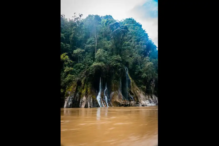 Imagen Santuario Nacional Megantoni - Imagen 16