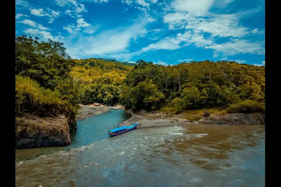 Imagen Santuario Nacional Megantoni - Imagen 3