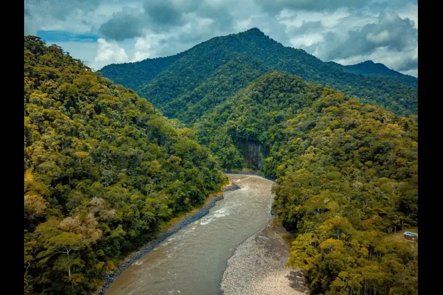 Imagen Santuario Nacional Megantoni - Imagen 4