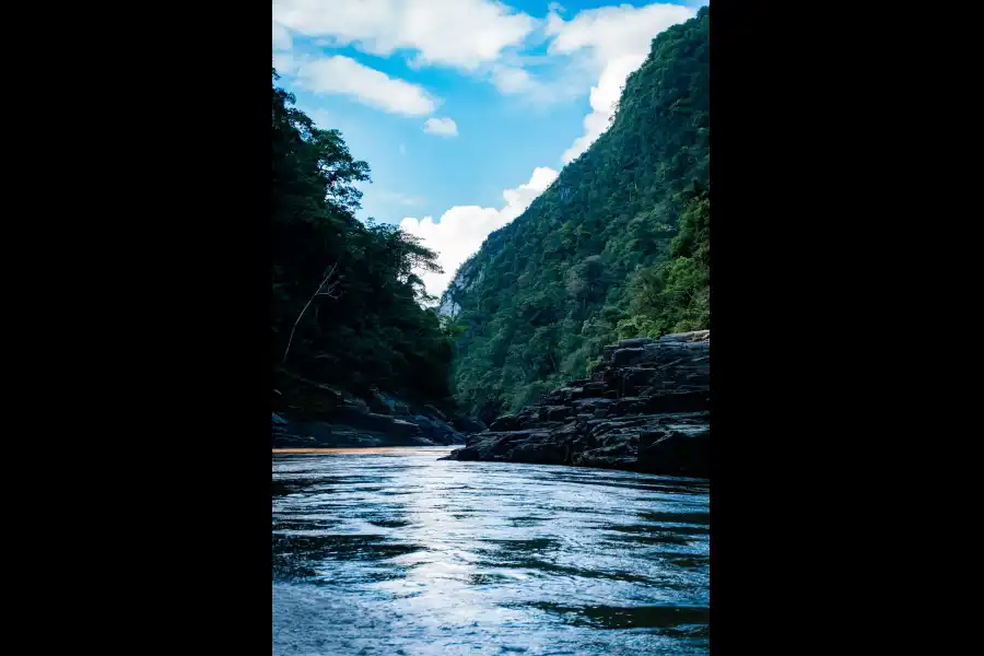 Imagen Santuario Nacional Megantoni - Imagen 8