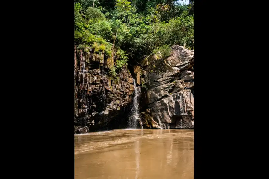 Imagen Santuario Nacional Megantoni - Imagen 9