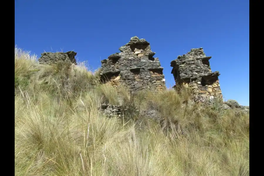 Imagen Sitio Arqueologico Auquin Punta - Imagen 8