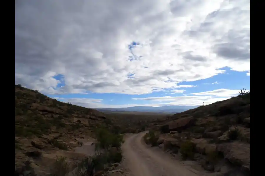 Imagen Zona De Reserva Y Conservación Municipal Los Altos De Caravelí - Imagen 12