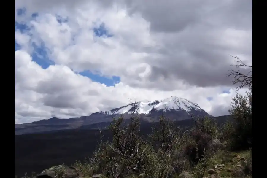 Imagen Zona De Reserva Y Conservación Municipal Los Altos De Caravelí - Imagen 14