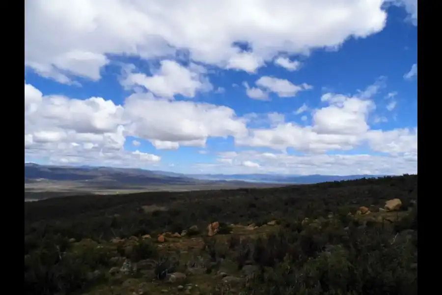 Imagen Zona De Reserva Y Conservación Municipal Los Altos De Caravelí - Imagen 20