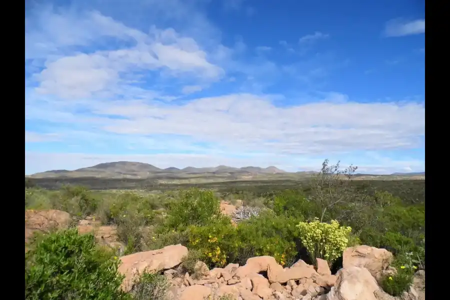 Imagen Zona De Reserva Y Conservación Municipal Los Altos De Caravelí - Imagen 21