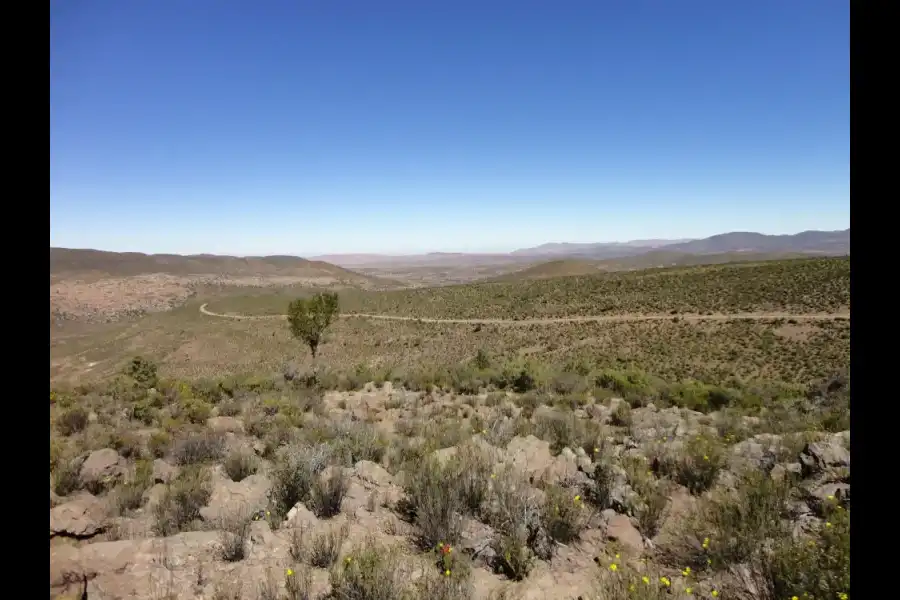 Imagen Zona De Reserva Y Conservación Municipal Los Altos De Caravelí - Imagen 4