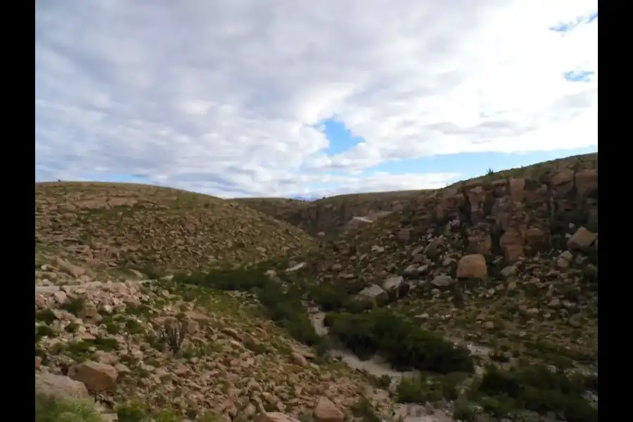 Imagen Zona De Reserva Y Conservación Municipal Los Altos De Caravelí - Imagen 5