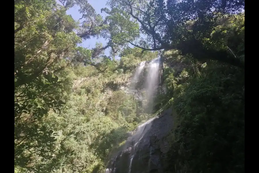 Imagen Bosque De Conservación Comunal De Villa Sol - Imagen 1