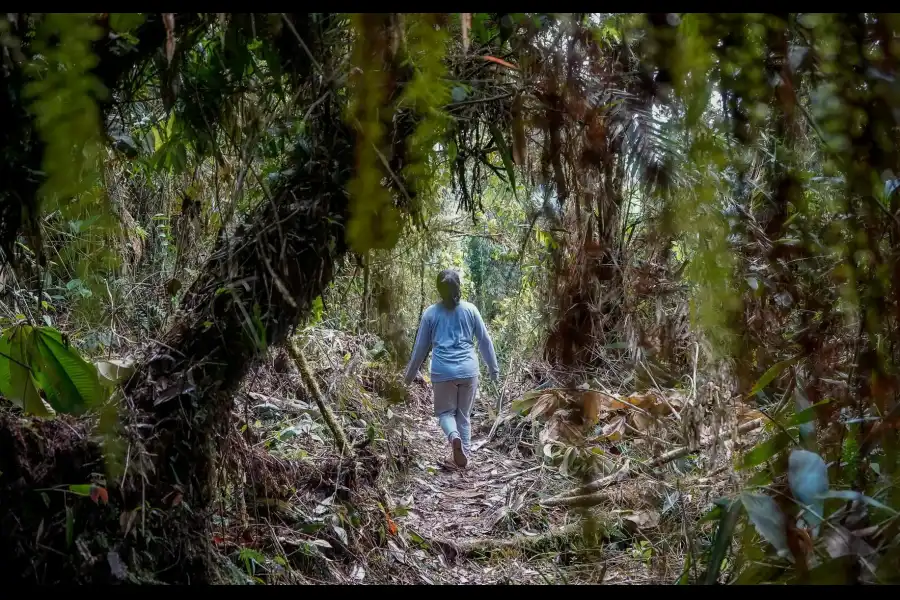 Imagen Bosque De Conservación Comunal De Villa Sol - Imagen 4