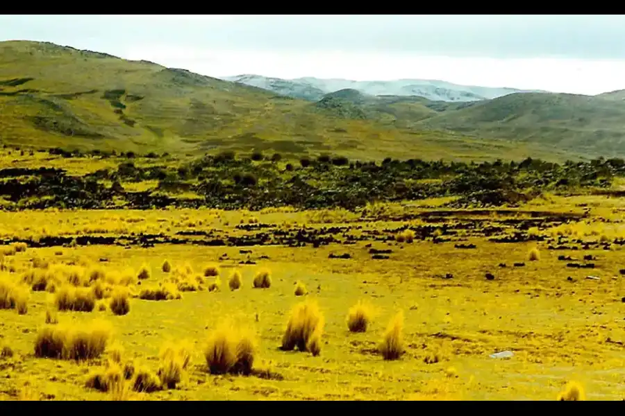 Imagen Sitio Arqueologico Maucallacta - Imagen 4