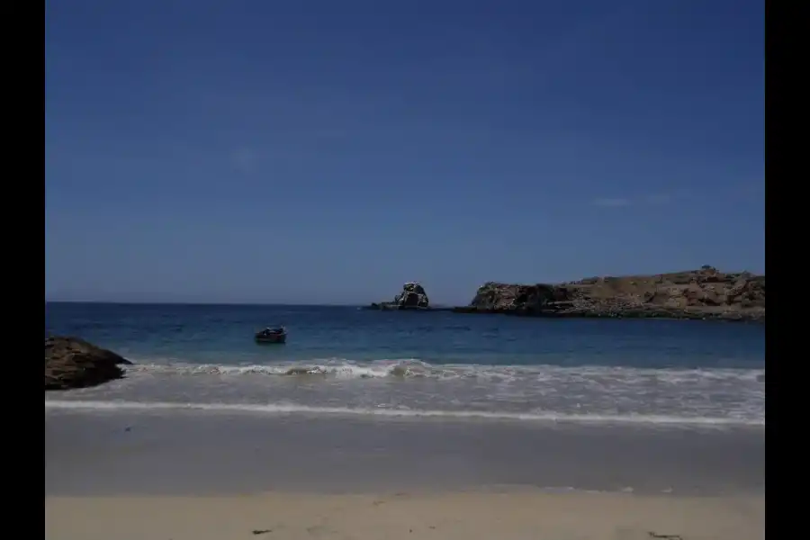 Imagen Playa Puyenca - Imagen 7