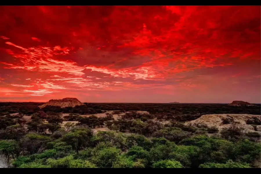 Imagen Santuario Histórico Bosque De Pómac - Imagen 1