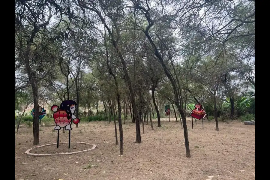 Imagen Santuario Histórico Bosque De Pómac - Imagen 14