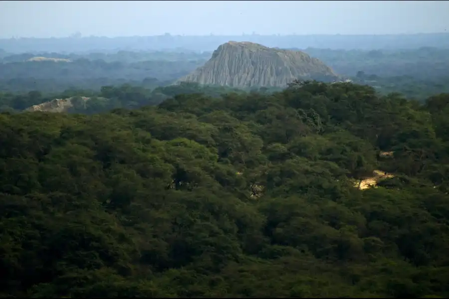 Imagen Santuario Histórico Bosque De Pómac - Imagen 3