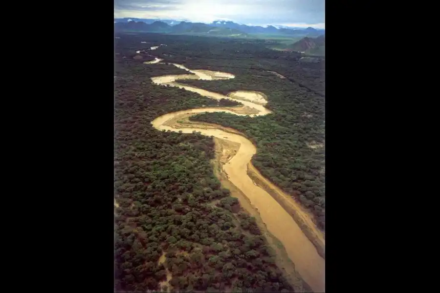 Imagen Santuario Histórico Bosque De Pómac - Imagen 4