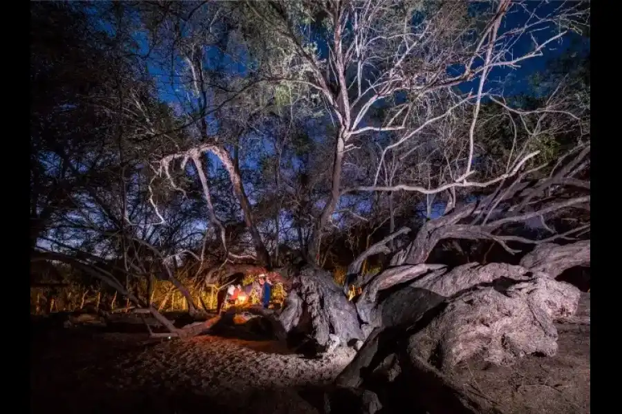 Imagen Santuario Histórico Bosque De Pómac - Imagen 5