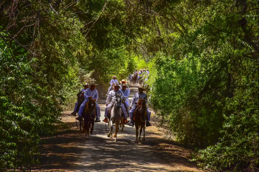 Imagen Santuario Histórico Bosque De Pómac - Imagen 7