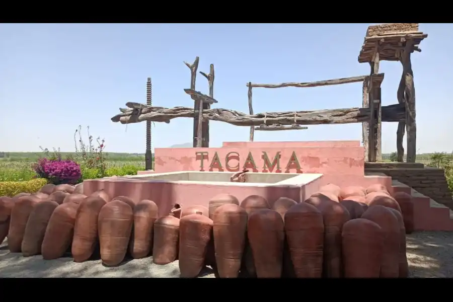 Imagen Bodega Tacama - Imagen 3