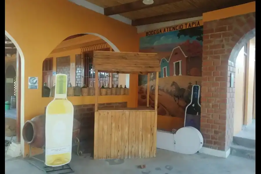 Imagen Bodega Atencio Tapia - Imagen 10