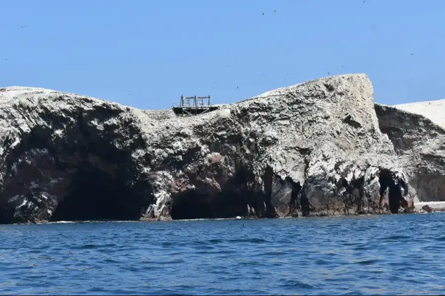 Imagen Islas Ballestas - Rnsiipg - Imagen 10