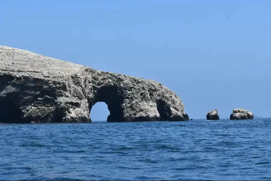 Imagen Islas Ballestas - Rnsiipg - Imagen 11