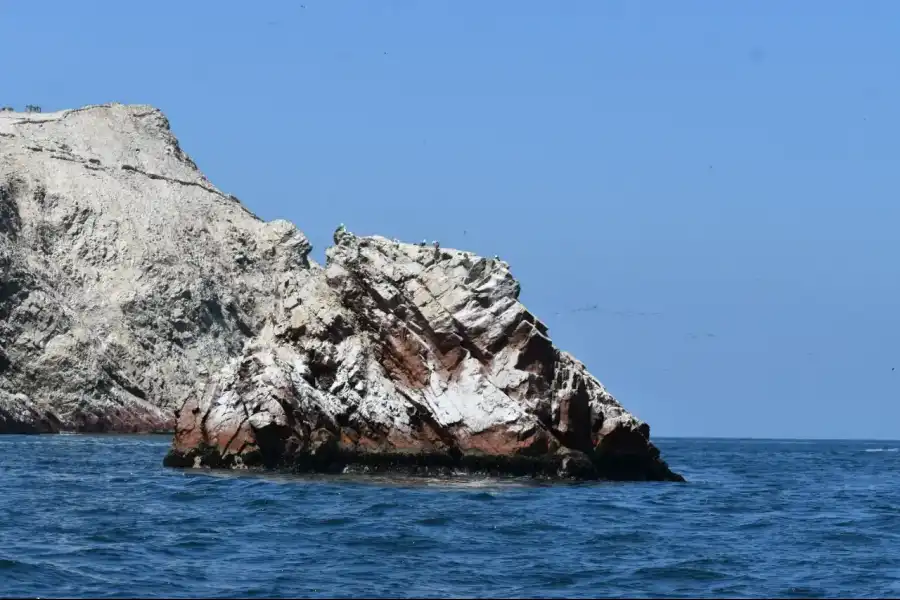 Imagen Islas Ballestas - Rnsiipg - Imagen 3