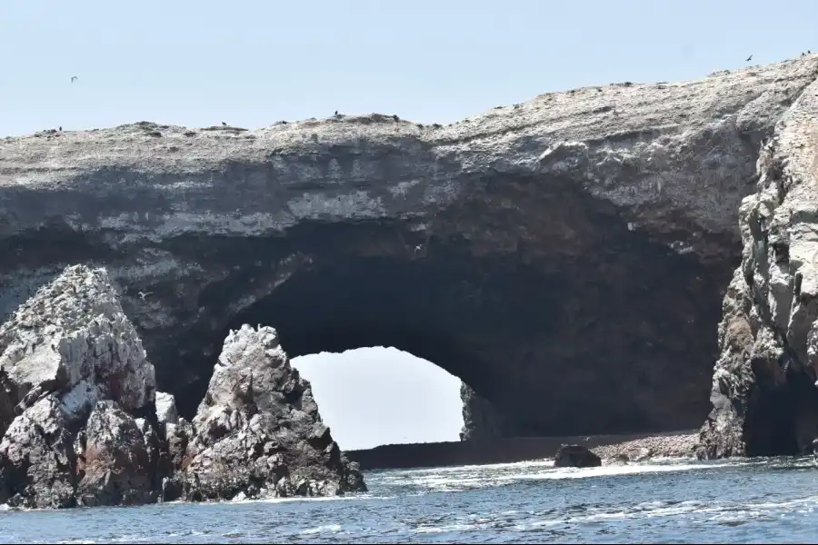 Imagen Islas Ballestas - Rnsiipg - Imagen 7