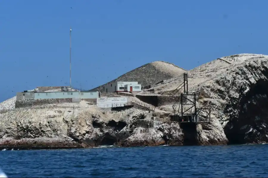 Imagen Islas Ballestas - Rnsiipg - Imagen 9