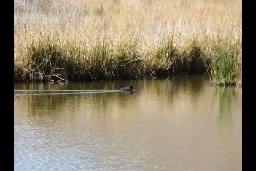 Imagen Laguna De Qoricocha - Imagen 3