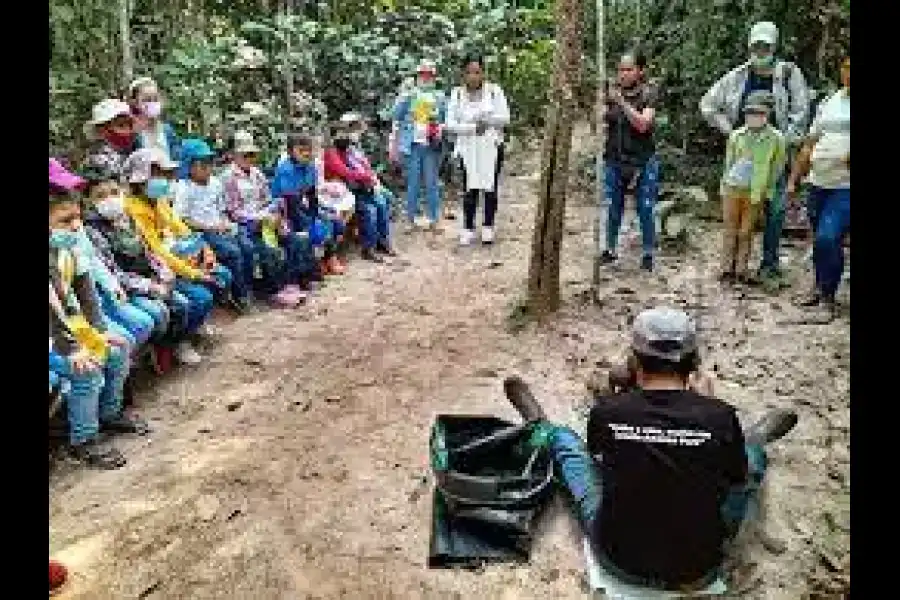 Imagen Parque Temático De La Castaña - Castaña Amazon Park - Imagen 4