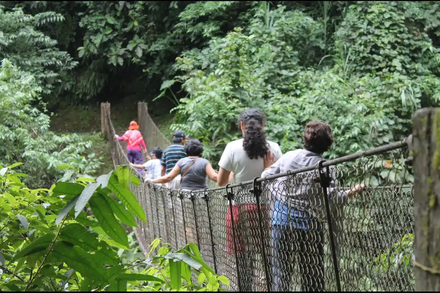 Imagen Parque Nacional Yanachaga Chemillén  - Zona Huampal - Imagen 5