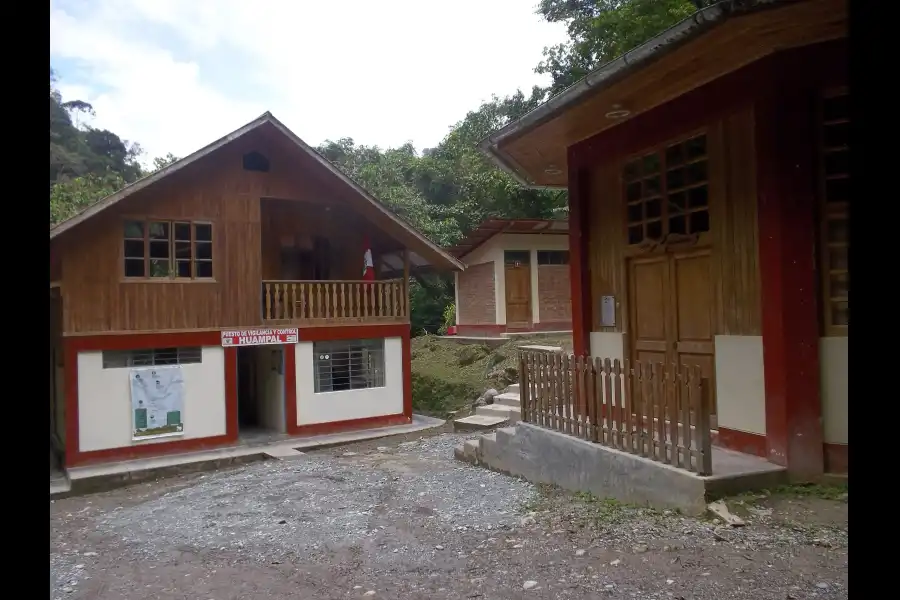 Imagen Parque Nacional Yanachaga Chemillén  - Zona Huampal - Imagen 6