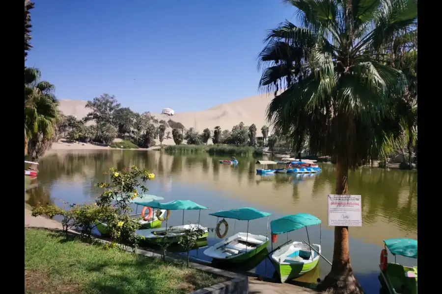 Imagen Laguna De Huacachina - Imagen 7