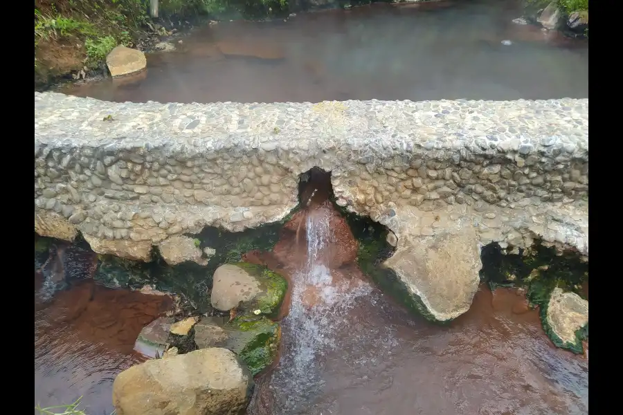 Imagen Campo Termal “Ojo De Aguas Calientes” - Imagen 4