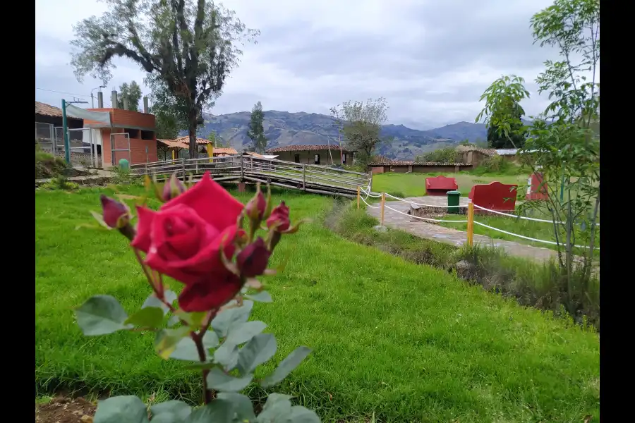 Imagen Campo Termal “Ojo De Aguas Calientes” - Imagen 2