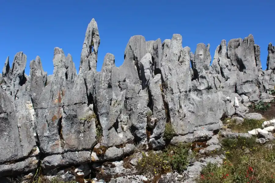 Imagen Bosque De Piedras De Chucumaca - Imagen 1