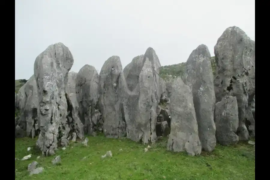 Imagen Bosque De Piedras De Chucumaca - Imagen 4