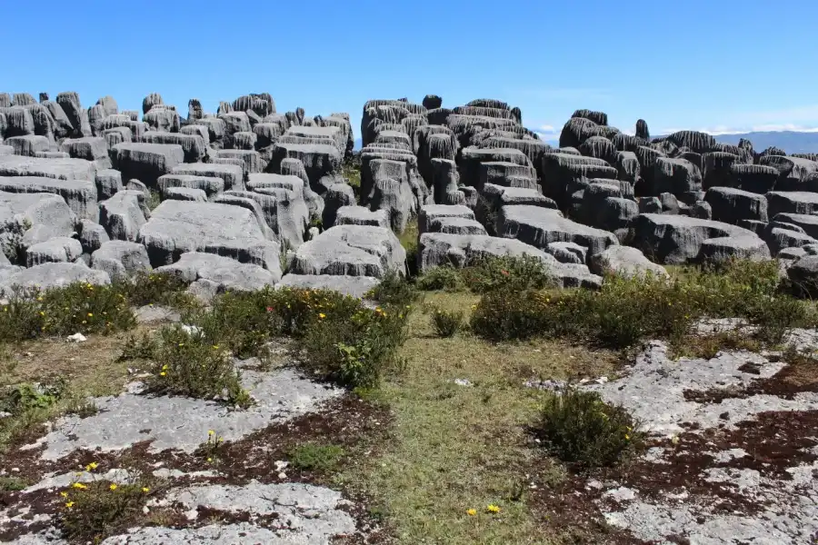 Imagen Bosque De Piedras De Chucumaca - Imagen 5