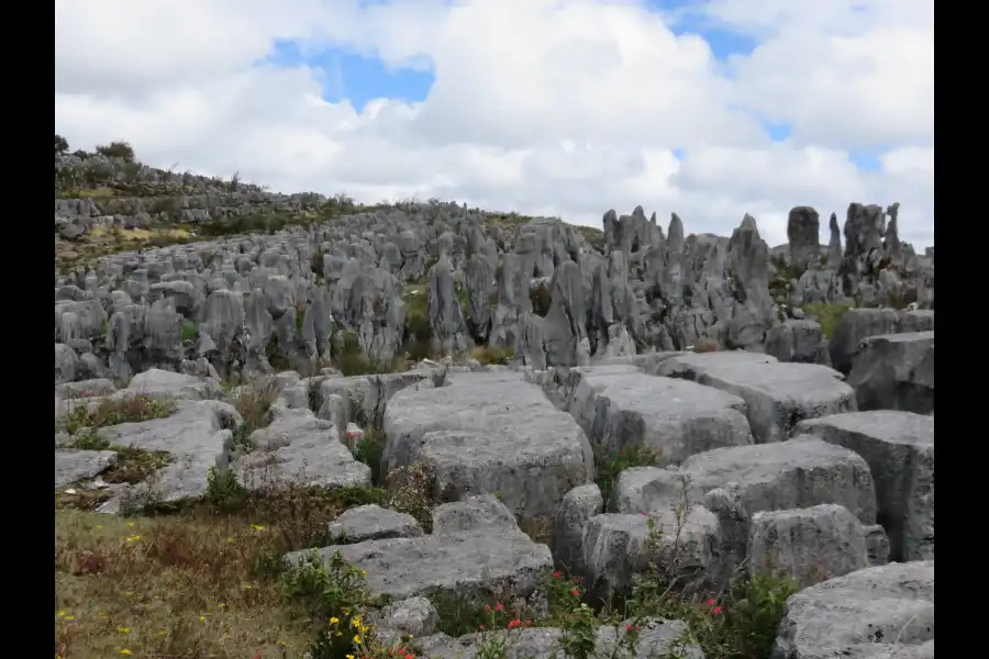 Imagen Bosque De Piedras De Chucumaca - Imagen 8