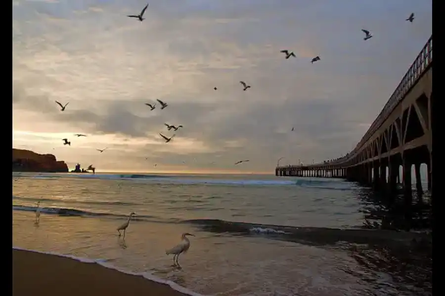 Imagen Muelle De Cerro Azul - Imagen 1