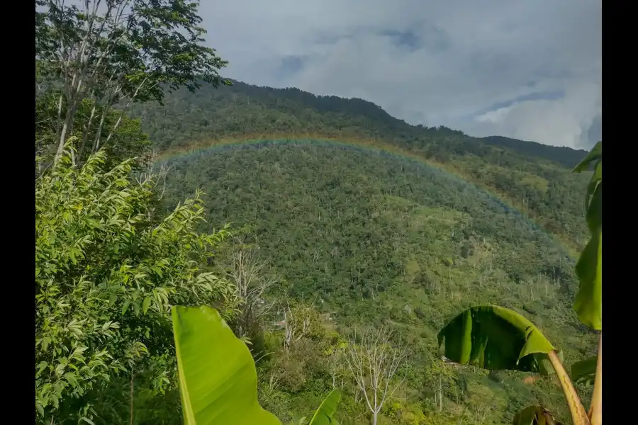 Imagen Cascada La Encantada - Imagen 4