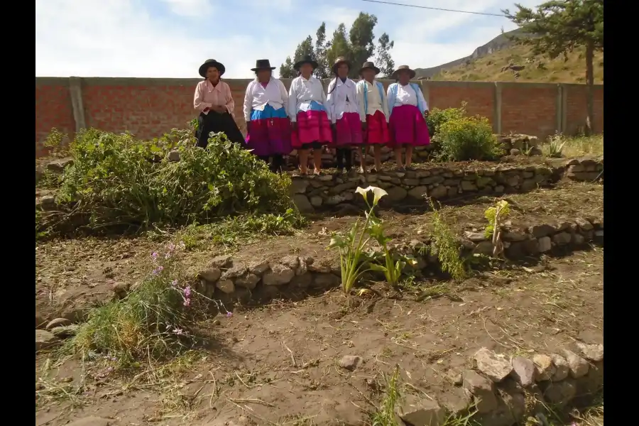 Imagen Casa De Saberes Ancestrales Antamarka - Imagen 6